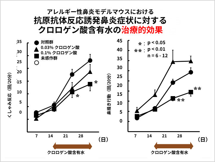 アレルギー性鼻炎モデルマウスにおけるクロロゲン酸含有水の「治療的効果」